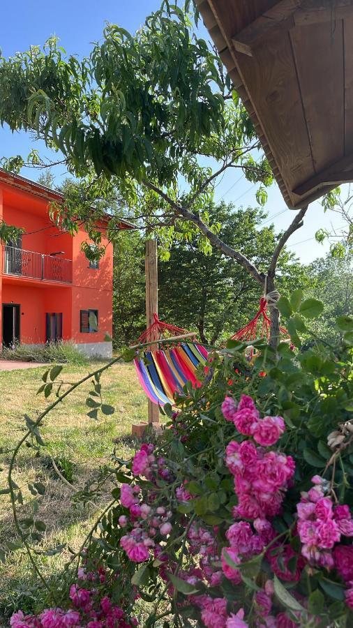 Residence Villa Gioia 圣塞韦里诺卢卡诺 外观 照片